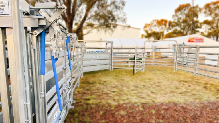 RPM HEROpictureSlider