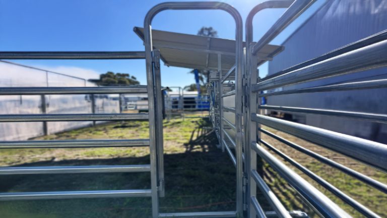 RPM HEROpictureSlider